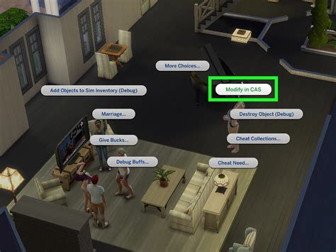 How To Make Sims Needs Always Full