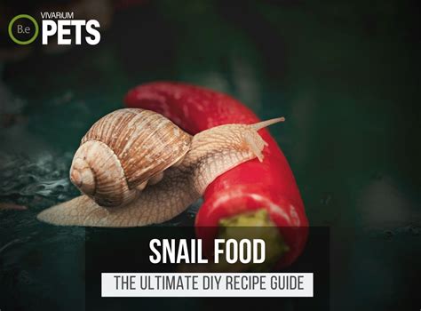 how to make snail feed