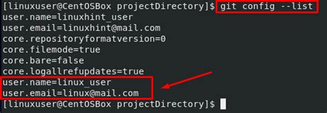 how to make sure you configure your user name and user email in git