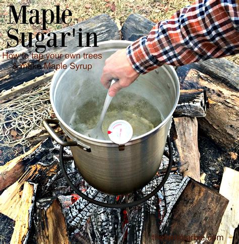 How To Make Syrup From Maple Sap