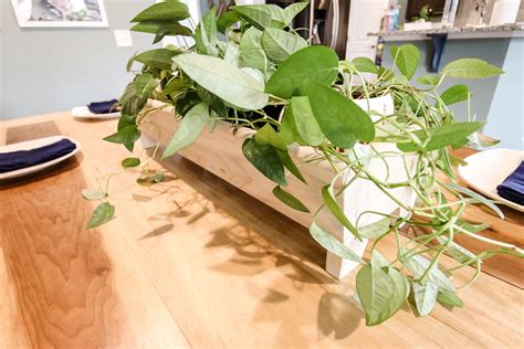 How To Make Tabletop Planter