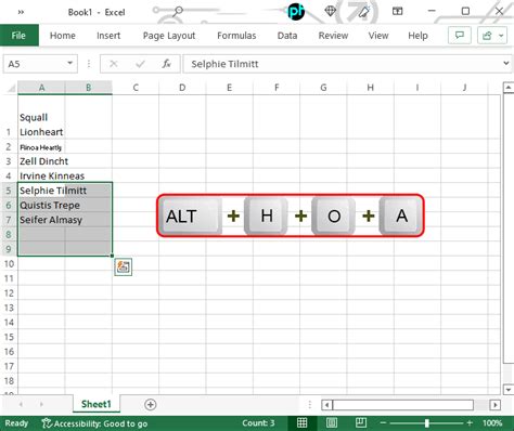 how to make text fit in excel sheet