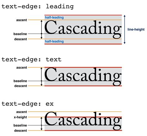 how to make text in next line css
