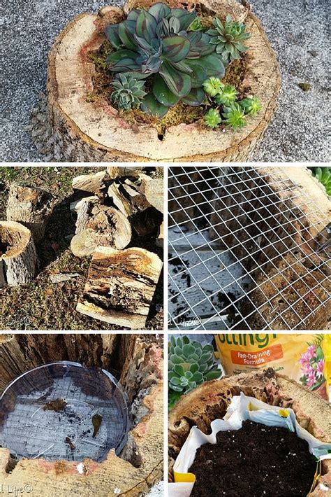 How To Make Tree Trunk Planter