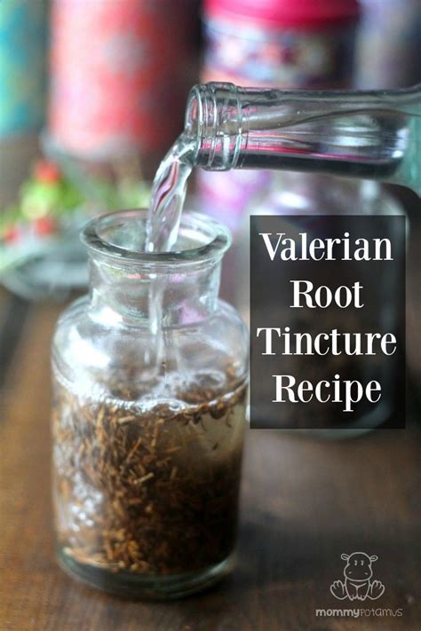 how to make valerian root tincture
