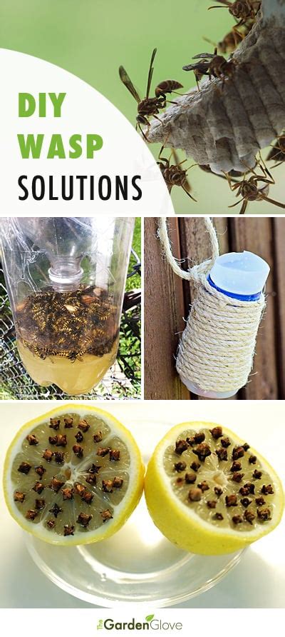 how to make wasp repellent