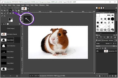 How To Make White Background Using Gimp