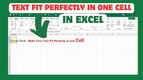 how to make words fit in one excel cell