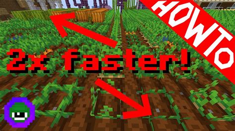 How To Make Your Crops Grow Faster In Minecraft Command