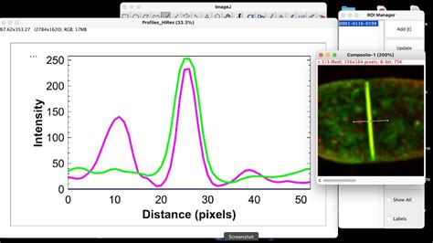 How To Measure Fluorescence Intensity In Imagej