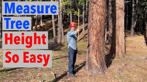 how to measure the height of a tree with an iphone