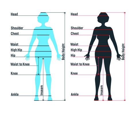How To Measure Torso Length For Dress