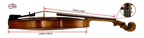 How To Measure Violin String Length
