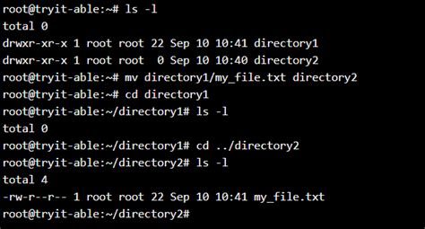 How To Move All Files In One Directory To Another Directory In Linux