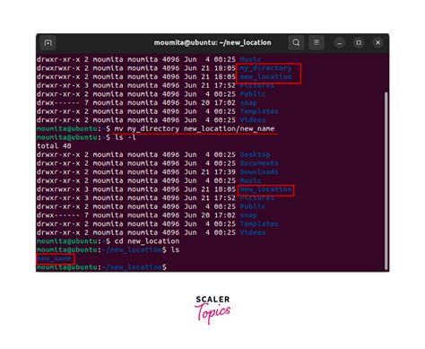 how to move back a directory in linux terminal