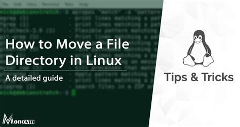 How To Move Files In Linux To Another Directory