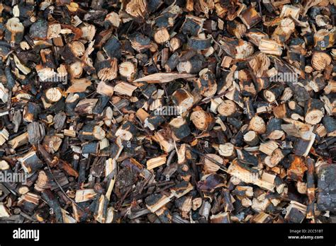 How To Mulch Branches