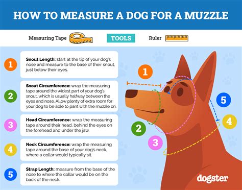 How To Muzzle My Dog