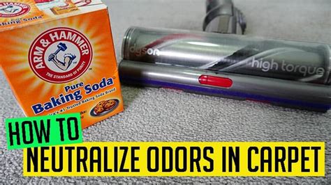 How To Neutralize Odors In Carpet