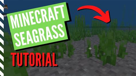 how to obtain seagrass in minecraft