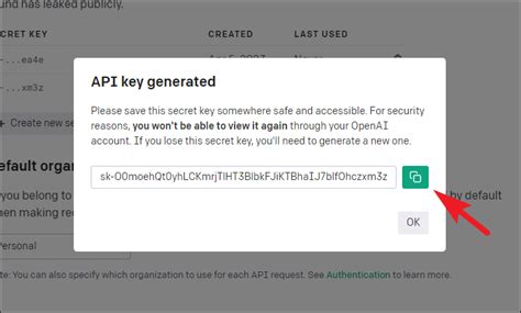 how to open api key