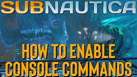 how to open console commands subnautica below zero xbox