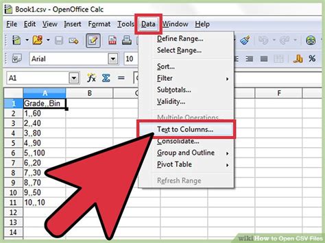 how to open csv file in iphone