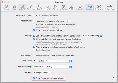 how to open developer console in safari browser mac