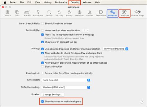how to open developer tools in safari on macbook