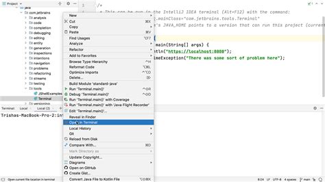 how to open intellij idea from command line