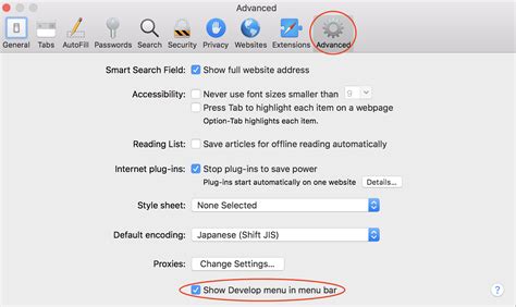 how to open javascript console in safari