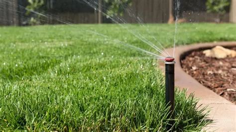 Best garden sprinkler 2021 water your home turf without hassles with