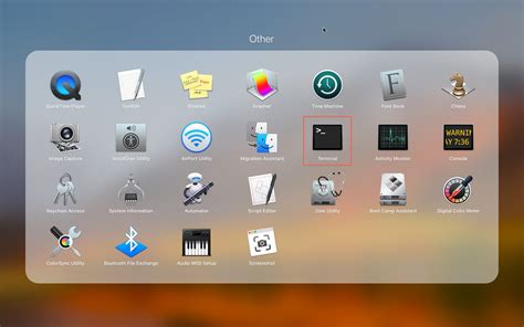 how to open terminal in folder macos