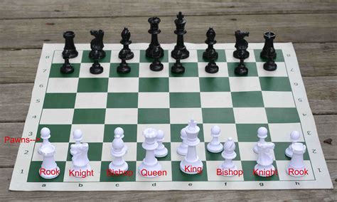 how to organize a chess club