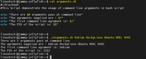 how to pass arguments to python script in terminal