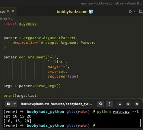 how to pass arguments while running python script