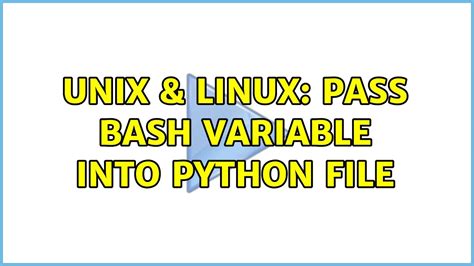 how to pass bash variable to python script