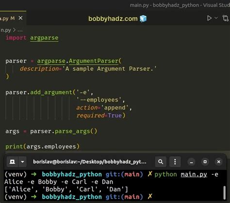 how to pass boolean argument in python command line
