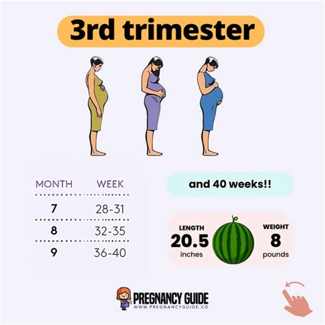 how to pass time in third trimester