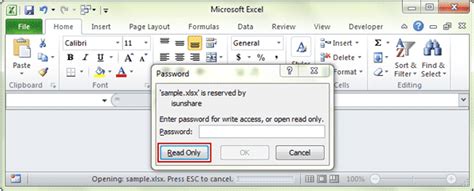 how to password protect an excel file but allow read only without