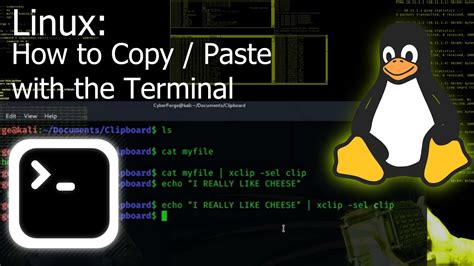 how to paste a file in linux terminal