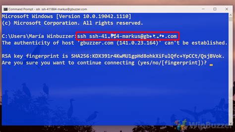 how to paste in ssh