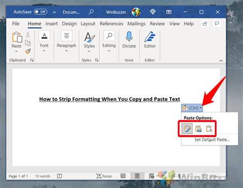 how to paste text in word without formatting