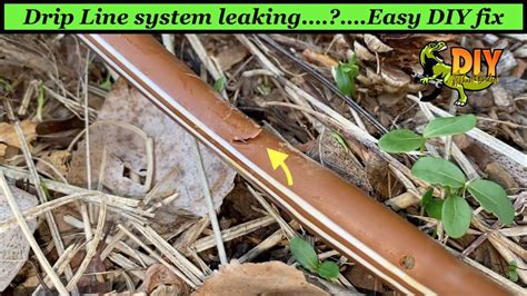 How To Patch A Hole In A Drip Line