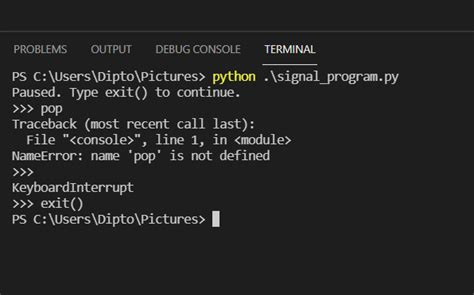 how to pause code in python