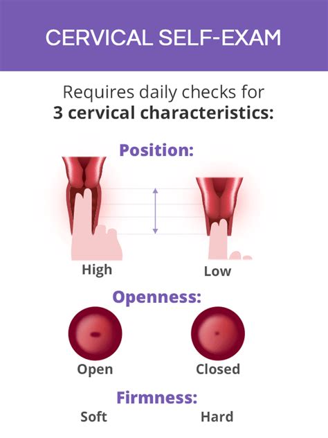 how to perform cervical check