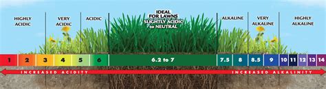 How To Ph Test Lawn