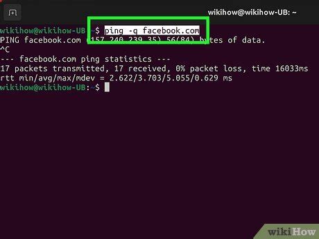 how to ping google in linux terminal