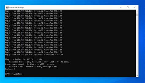 how to ping google in ubuntu