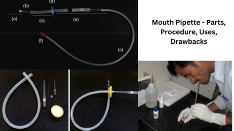 How To Pipette Correctly With Mouth